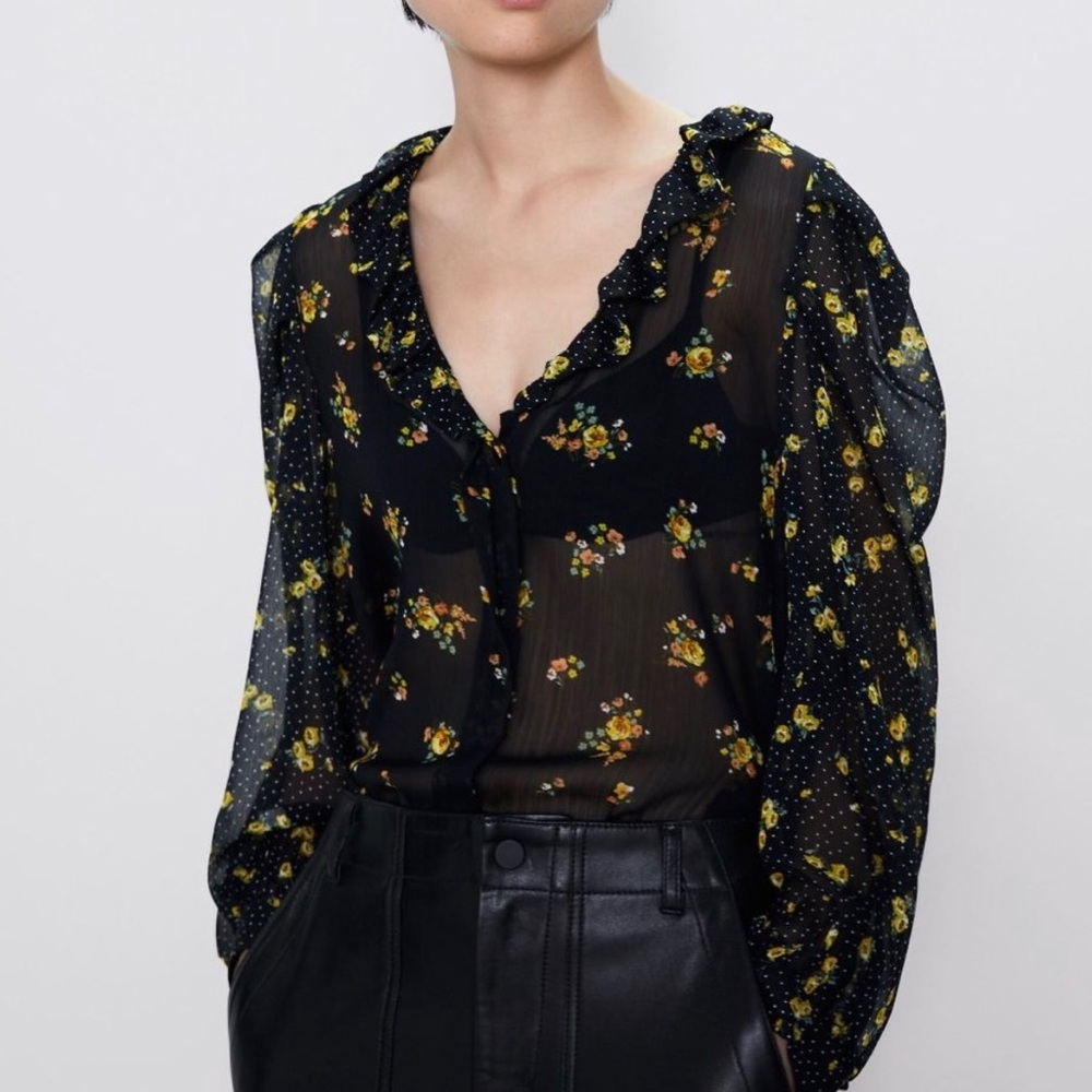 Zara sheer floral V-neck blouse sz S